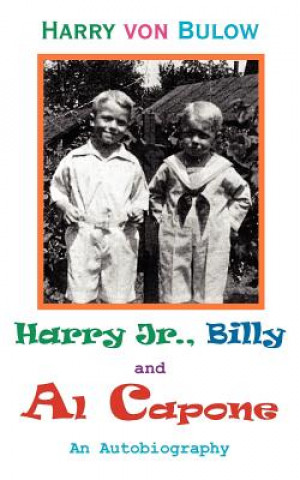 Книга Harry Jr., Billy & Al Capone Harry Von Bulow