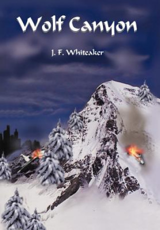 Buch Wolf Canyon J F Whiteaker