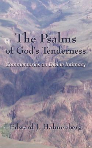 Buch Psalms of God's Tenderness Edward P Hahnenberg