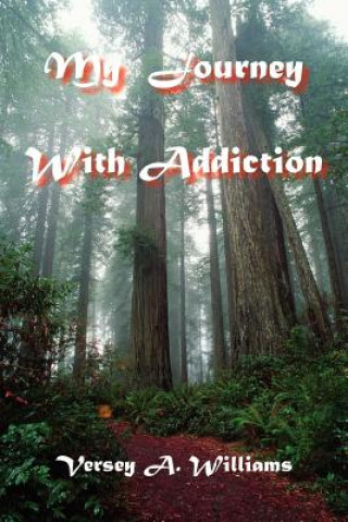 Könyv My Journey With Addiction Versey A Williams