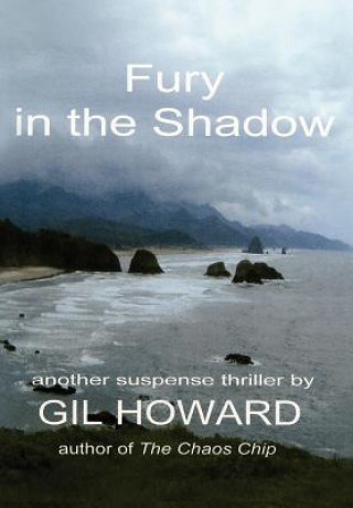 Kniha Fury in the Shadow Gil Howard