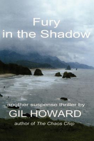 Kniha Fury in the Shadow Gil Howard