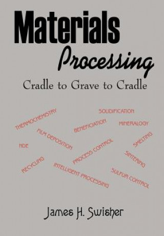 Kniha Materials Processing James H Swisher