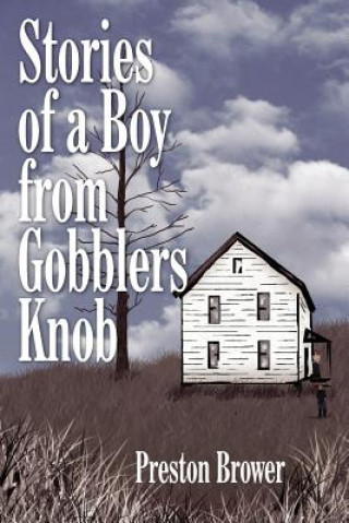 Kniha Stories of a Boy from Gobblers Knob Preston Brower