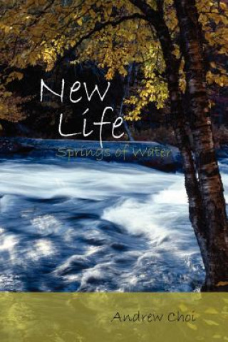 Könyv New Life Andrew Choi