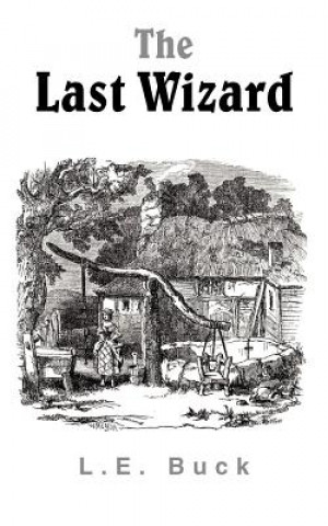 Book Last Wizard L E Buck