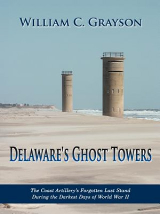 Książka Delaware's Ghost Towers William C Grayson