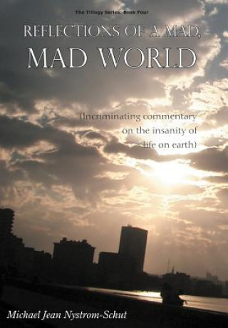 Carte Reflections of a Mad, Mad World Michael Jean Nystrom-Schut