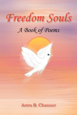 Könyv Freedom Souls Astra B Channer
