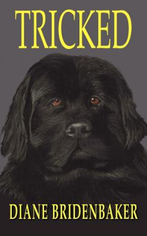 Book Tricked Diane Bridenbaker