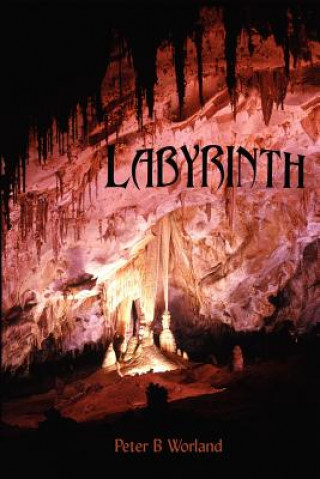 Livre Labyrinth Peter B Worland