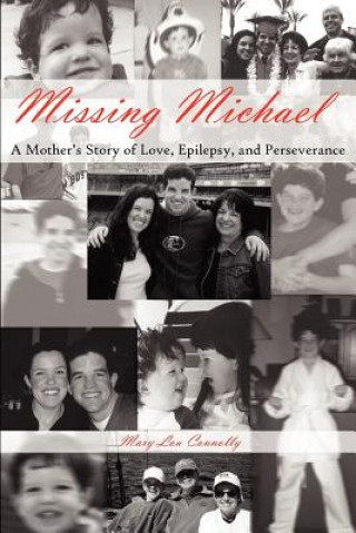 Книга Missing Michael Mary Lou Connolly