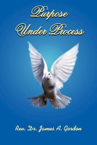 Knjiga Purpose Under Process James A Gordon