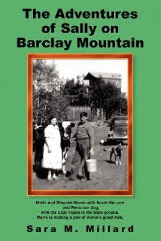 Buch Adventures of Sally on Barclay Mountain Sara M Millard