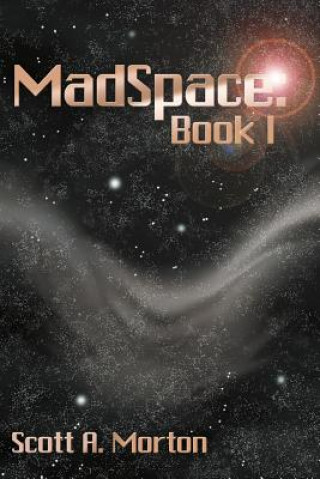 Libro MadSpace Scott A. Morton