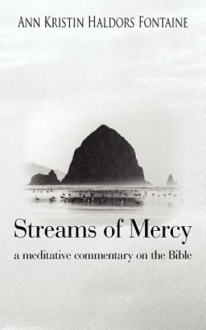 Knjiga Streams Of Mercy Ann Kristin Haldors Fontaine