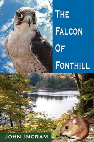 Kniha Falcon Of Fonthill Ingram