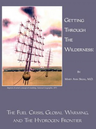 Kniha Getting Through The Wilderness Segal