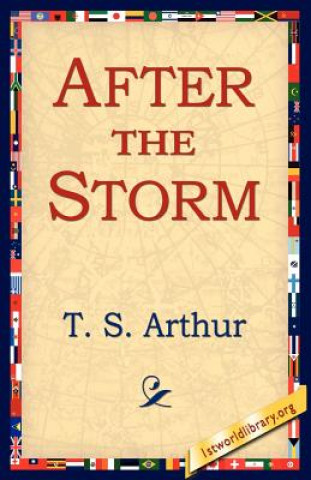 Book After the Storm T S Arthur