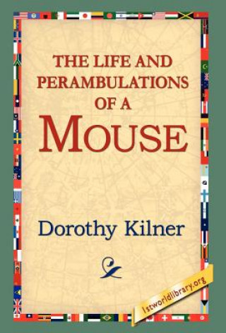 Livre Life and Perambulations of a Mouse Dorothy Kilner