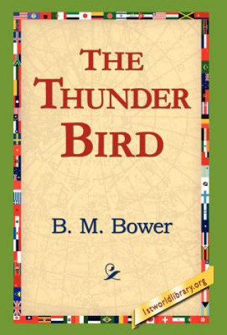 Könyv Thunder Bird B M Bower