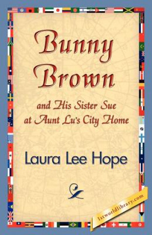 Carte Bunny Brown and His Sister Sue at Aunt Lu's City Home Laura Lee Hope