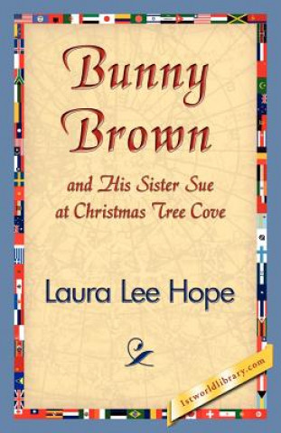 Livre Bunny Brown and His Sister Sue at Christmas Tree Cove Laura Lee Hope