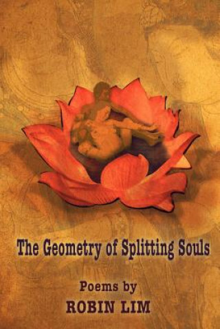 Kniha Geometry of Splitting Souls Robin Lim