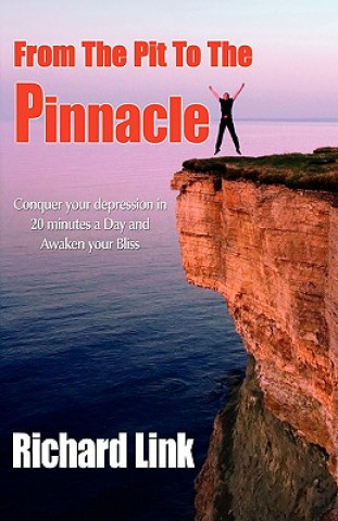 Book From The Pit To The Pinnacle Richard Link