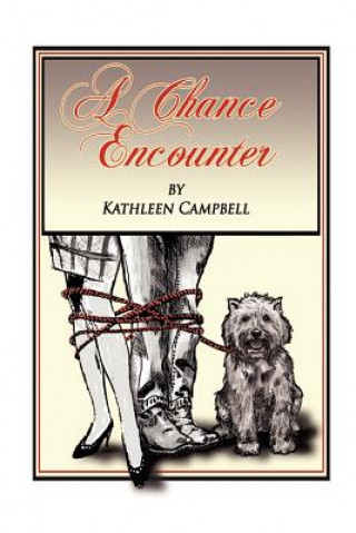 Kniha Chance Encounter Kathleen Campbell