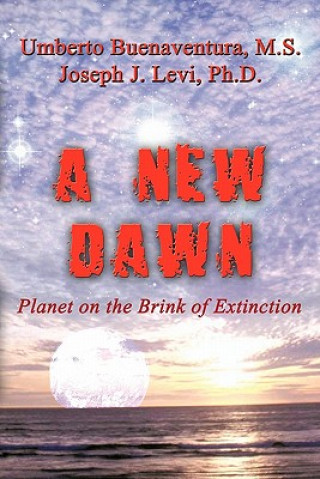 Книга New Dawn Joseph J. Levi