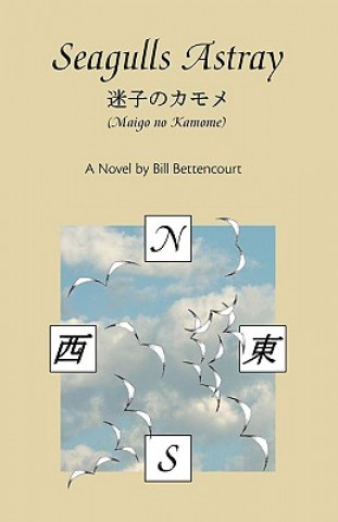 Buch Seagulls Astray Bill Bettencourt