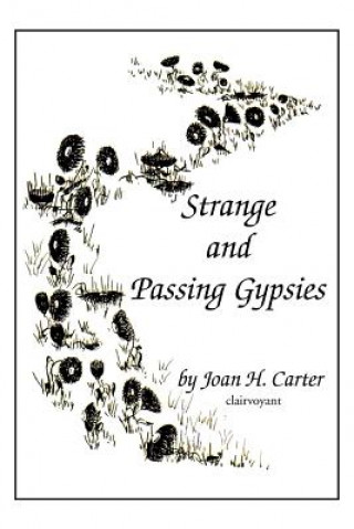 Knjiga Strange and Passing Gypsies Joan H Carter