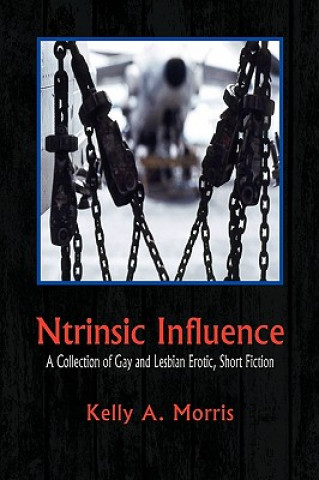 Buch Ntrinsic Influence Kelly A Morris