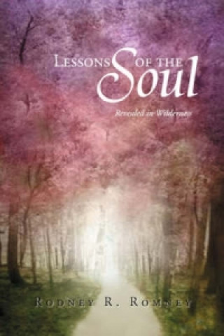 Kniha Lessons of the Soul Rodney R Romney