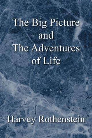 Livre Big Picture and the Adventures of Life Harvey Rothenstein