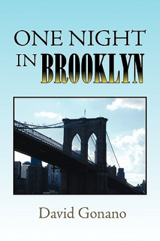 Buch One Night in Brooklyn David Gonano