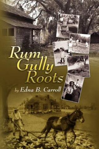 Buch Rum Gully Roots Edna B Carroll