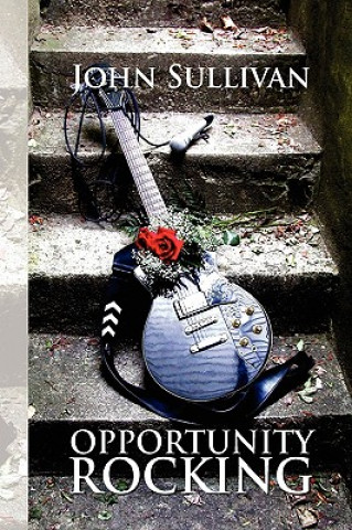 Book Opportunity Rocking Dr John Sullivan