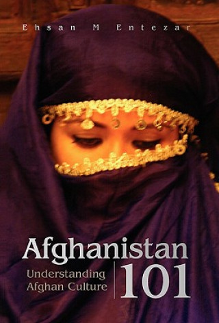 Buch Afghanistan 101 Ehsan M Entezar