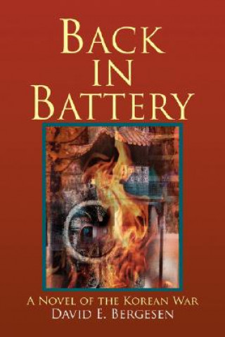 Könyv Back in Battery David E Bergesen