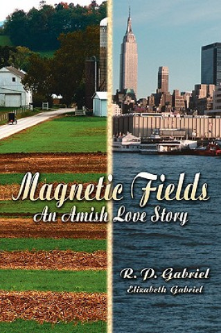 Книга Magnetic Fields Elizabeth Gabriel