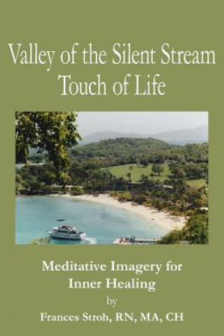 Livre Valley of the Silent Stream Touch of Life Frances Rn Ma Stroh