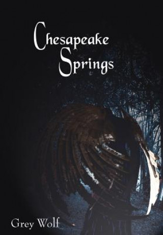 Livre Chesapeake Springs Grey Wolf