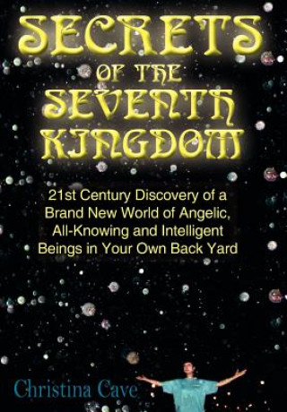 Kniha Secrets of the Seventh Kingdom Christina Cave