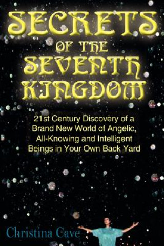 Kniha Secrets of the Seventh Kingdom Christina Cave