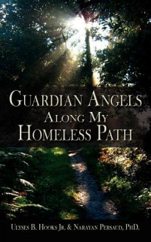 Kniha Guardian Angels Along My Homeless Path Narayan Persaud