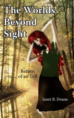 Buch Worlds Beyond Sight Janet B Doane