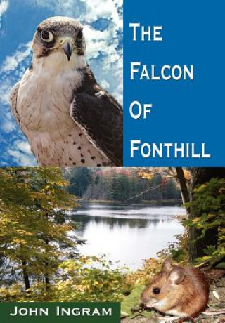 Buch Falcon Of Fonthill Ingram