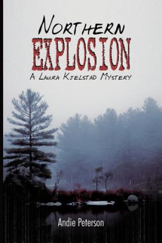 Kniha Northern Explosion Andie Peterson